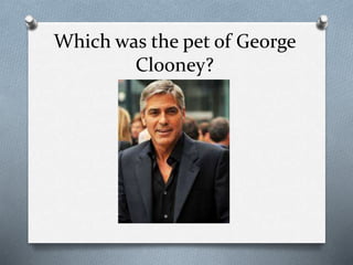 Which was the pet of George
Clooney?