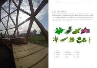 •
•
•
•
•
•
•
•
•
•
•
•
•
•
•
·
 