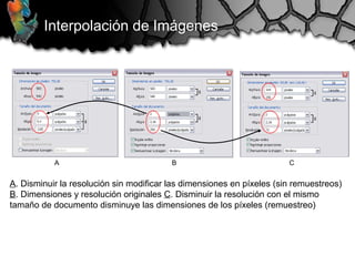Interpolación de Imágenes
A B C
A. Disminuir la resolución sin modificar las dimensiones en píxeles (sin remuestreos)
B. Dimensiones y resolución originales C. Disminuir la resolución con el mismo
tamaño de documento disminuye las dimensiones de los píxeles (remuestreo)
 