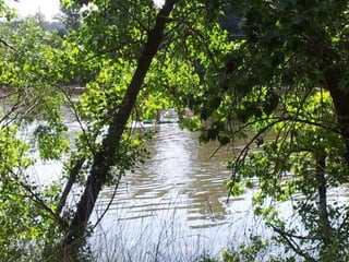 Presentaciónpiraguas