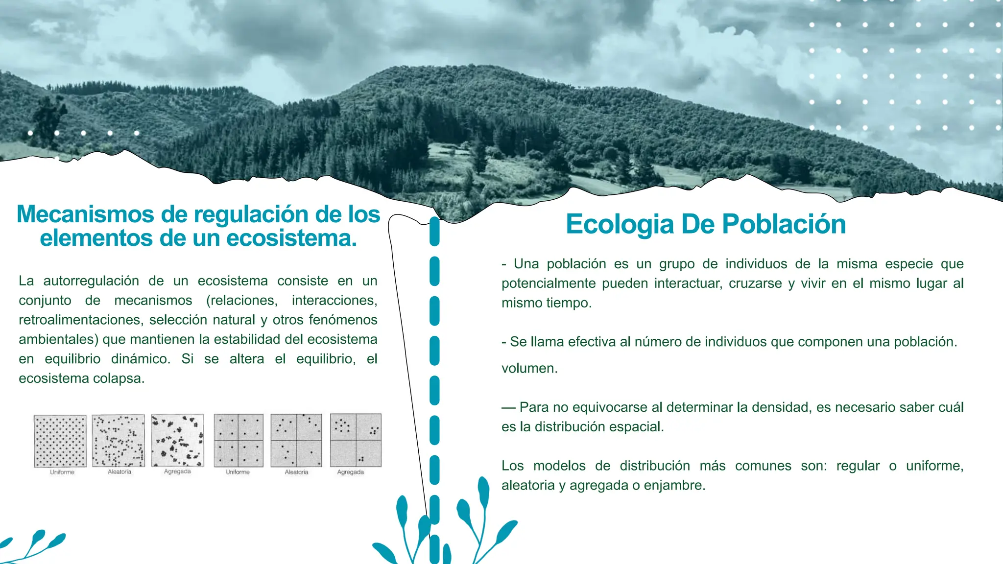 REGULACIÓN DEL ECOSISTEMA | PPT