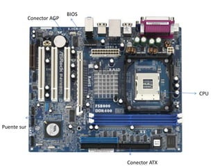 Conector AGP
BIOS
CPU
Conector ATX
Puente sur
 