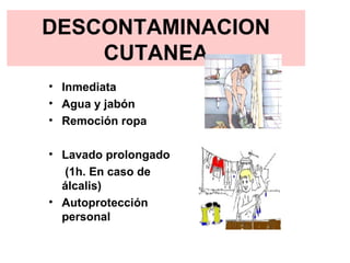 DESCONTAMINACION CUTANEA Inmediata Agua y jabón Remoción ropa Lavado prolongado (1h. En caso de álcalis) Autoprotección personal 