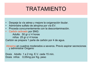 TRATAMIENTO Despeje la vía aérea y mejore la oxigenación tisular. Administre sulfato de atropina por vía EV. Proceda concurrentemente con la descontaminación. Carbón activado  por SNG: Adulto  50 gr c/ 4 horas niños  25 gr c/ 4 horas Carbón se prepara 1 parte de carbón por 4 de agua. Atropina  en cuadros moderados a severos. Previo aspirar secreciones y administrar Oxigeno Dosis  Adulto  1 a 2 mg. E.V. cada 15 min. Dosis  niños  0,05mg por Kg. peso 