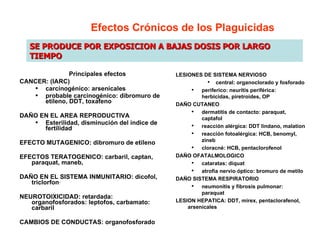 Efectos  Crónicos de los Plaguicidas Principales efectos CANCER: (IARC) carcinog é nico:  arsenicales probable carcinog é nico: dibromuro de etileno, DDT, toxafeno DAÑO EN EL AREA REPRODUCTIVA Esterilidad, disminuci ó n de l ín dice de fertilidad EFECTO MUTAGENICO: dibromuro de etileno EFECTOS TERATOGENICO: carbaril, captan, paraquat, maneb,  DAÑO EN EL SISTEMA INMUNITARIO: dicofol, triclorfon · NEUROTOIXICIDAD: retardada: organofosforados: leptofos, carbamato: carbaril CAMBIOS DE CONDUCTAS: organofosforado LESIONES DE SISTEMA NERVIOSO central: organoclorado y fosforado periferico: neuritis periférica: herbicidas, piretroides, OP DAÑO CUTANEO dermatitis de contacto: paraquat, captafol reacción alérgica: DDT lindano, malation reacción fotoalérgica: HCB, benomyl, zineb cloracné: HCB, pentaclorofenol DAÑO OFATALMOLOGICO cataratas: diquat atrofia nervio óptico: bromuro de metilo DAÑO SISTEMA RESPIRATORIO neumonitis y fibrosis pulmonar: paraquat LESION HEPATICA: DDT, mirex, pentaclorafenol, arsenicales SE PRODUCE POR EXPOSICION A BAJAS DOSIS  POR LARGO TIEMPO 