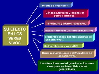 Muerte del organismo.

                Cánceres, tumores y lesiones en
                      peces y animales.


                  Infertilidad y abortos repetitivos.

SU EFECTO       Baja las defensas ( sistema inmunitario).
 EN LOS
                Trastornos en los distintos sistemas de
  SERES         los seres vivos.
  VIVOS
               Daños celulares y en el ADN.

             Causa malformaciones o deformidades en
                         los seres vivos.

            Las alteraciones a nivel genético en los seres
                  vivos pude ser transmitida a otras
                           generaciones.
 