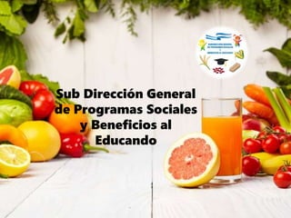 Sub Dirección General
de Programas Sociales
y Beneficios al
Educando
 