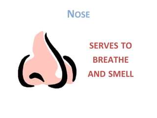 NOSE

   SERVES TO
    BREATHE
   AND SMELL
 