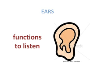 EARS



functions
 to listen
 