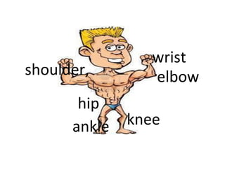 wrist
shoulder,        elbow
       hip
      ankle   knee
 