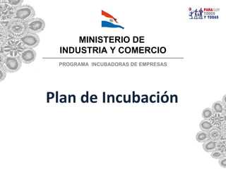 MINISTERIO DE
 INDUSTRIA Y COMERCIO
 PROGRAMA INCUBADORAS DE EMPRESAS




Plan de Incubación
 