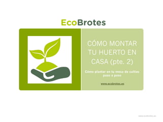 CÓMO MONTAR
TU HUERTO EN
CASA (pte. 2)
Cómo plantar en tu mesa de cultivo
paso a paso
www.ecobrotes.es
 