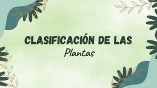 Clasificación de las
Plantas
 