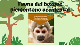 Fauna del bosque
piemontano occidental
 