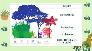 DOSEL
SUBDOSEL
COBERTURA DE
SUELO
Arbustivos
Herbáceos
 