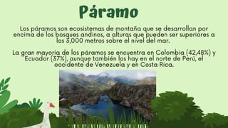 Páramo
Los páramos son ecosistemas de montaña que se desarrollan por
encima de los bosques andinos, a alturas que pueden ser superiores a
los 3,000 metros sobre el nivel del mar.


La gran mayoría de los páramos se encuentra en Colombia (42,48%) y
Ecuador (37%), aunque también los hay en el norte de Perú, el
occidente de Venezuela y en Costa Rica.


 