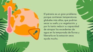 El páramo es un gran problema
porque contienen temperaturas
globales más altas, que podrían
secar su suelo y su vegetación, y
por lo tanto reducir su capacidad
de atrapar los excedentes de
agua en la temporada de lluvias y
liberarla en la estación seca
ayuda mucho.
 