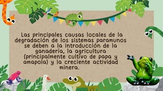 Las principales causas locales de la
degradación de los sistemas paramunos
se deben a la introducción de la
ganadería, la agricultura
(principalmente cultivo de papa y
amapola) y la creciente actividad
minera.
 