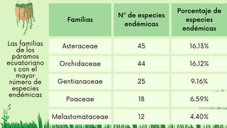 Familias
Nª de especies
endémicas
Porcentaje de
especies
endémicas
Asteraceae 45 16.13%
Orchidaceae 44 16.12%
Gentianaceae 25 9.16%
Poaceae 18 6.59%
Melastomataceae 12 4.40%
Las familias
de los
páramos
ecuatoriano
s con el
mayor
número de
especies
endémicas
 