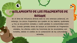 En el área de influencia directa esta es una amenaza potencial, sin
embargo, los pocos fragmentos que quedan en las laderas, quebradas
y ríos se encuentran aislados o están perdido la conectividad entre
ellos. Cuando grandes áreas de bosque se convierten en fragmentos
aislados, los efectos sobre las funciones de los ecosistemas son
notables, debido al cambio en la composición de las comunidades
animales.
AISLAMIENTO DE LOS FRAGMENTOS DE
BOSQUE
 