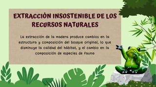 EXTRACCIÓN INSOSTENIBLE DE LOS
RECURSOS NATURALES
La extracción de la madera produce cambios en la
estructura y composición del bosque original, lo que
disminuye la calidad del hábitat, y el cambio en la
composición de especies de fauna
 