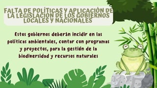 Estos gobiernos deberán incidir en las
políticas ambientales, contar con programas
y proyectos, para la gestión de la
biodiversidad y recursos naturales
FALTA DE POLÍTICAS Y APLICACIÓN DE
LA LEGISLACIÓN DE LOS GOBIERNOS
LOCALES Y NACIONALES
 