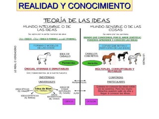REALIDAD Y CONOCIMIENTOREALIDAD Y CONOCIMIENTO
 