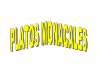 PLATOS MONACALES 