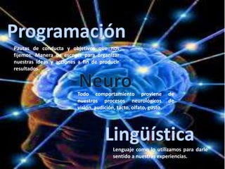 Todo comportamiento proviene de
nuestros procesos neurológicos de
visión, audición, tacto, olfato, gusto.
Lenguaje como lo utilizamos para darle
sentido a nuestras experiencias.
Pautas de conducta y objetivos que nos
fijemos. Manera de escoger para organizar
nuestras ideas y acciones a fin de producir
resultados.
 