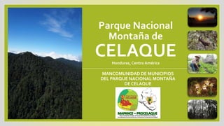 Parque Nacional
Montaña de
CELAQUEHonduras, Centro América
MANCOMUNIDAD DE MUNICIPIOS
DEL PARQUE NACIONAL MONTAÑA
DE CELAQUE
 