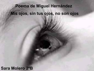 Mis ojos, sin tus ojos, no son ojos Poema de Miguel Hernández Sara Molero 2ºB 