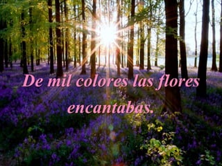 De mil colores las flores
encantabas.
 