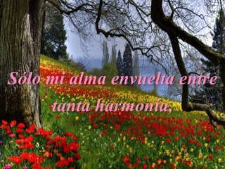 Sólo mi alma envuelta entre
tanta harmonía,
 