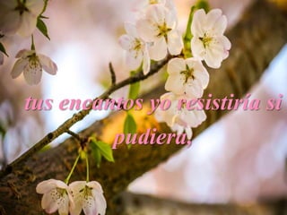 tus encantos yo resistiría si
pudiera,
 