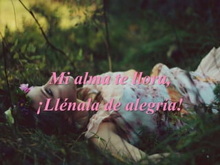 Mi alma te llora,
¡Llénala de alegría!
 