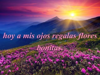 hoy a mis ojos regalas flores
bonitas,
 