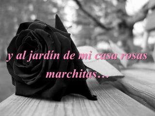 y al jardín de mi casa rosas
marchitas…
 