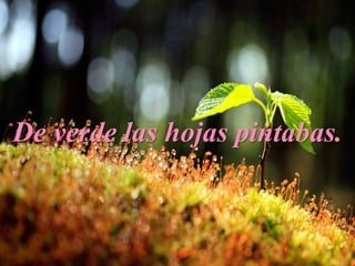 De verde las hojas pintabas.
 