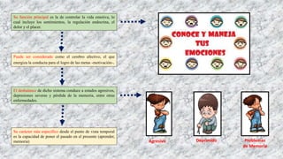 Su función principal es la de controlar la vida emotiva, lo
cual incluye los sentimientos, la regulación endocrina, el
dolor y el placer.
Puede ser considerado como el cerebro afectivo, el que
energiza la conducta para el logro de las metas -motivación-.
El desbalance de dicho sistema conduce a estados agresivos,
depresiones severas y pérdida de la memoria, entre otras
enfermedades.
Su carácter más específico desde el punto de vista temporal
es la capacidad de poner el pasado en el presente (aprender,
memoria) Agresivo Deprimido Problemas
de Memoria
 