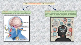 Las dos características básicas de la neocorteza son:
La "visión", la cual se refiere al sentido de globalidad,
síntesis e integración con que actúa el hemisferio derecho.
El análisis, que se refiere al estilo de procesamiento del
hemisferio izquierdo, el cual hace énfasis en la relación parte-
todo, la lógica, la relación causa-efecto, el razonamiento
hipotético y en la precisión y exactitud.
 