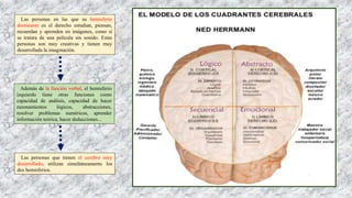 Las personas en las que su hemisferio
dominante es el derecho estudian, piensan,
recuerdan y aprenden en imágenes, como si
se tratara de una película sin sonido. Estas
personas son muy creativas y tienen muy
desarrollada la imaginación.
Además de la función verbal, el hemisferio
izquierdo tiene otras funciones como
capacidad de análisis, capacidad de hacer
razonamientos lógicos, abstracciones,
resolver problemas numéricos, aprender
información teórica, hacer deducciones...
Las personas que tienen el cerebro muy
desarrollado, utilizan simultáneamente los
dos hemisferios.
 