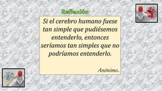 Si el cerebro humano fuese
tan simple que pudiésemos
entenderlo, entonces
seríamos tan simples que no
podríamos entenderlo.
Anónimo..
 