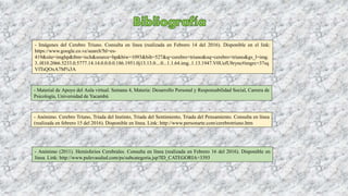 - Imágenes del Cerebro Triuno. Consulta en línea (realizada en Febrero 14 del 2016). Disponible en el link:
https://www.google.co.ve/search?hl=es-
419&site=imghp&tbm=isch&source=hp&biw=1093&bih=527&q=cerebro+triuno&oq=cerebro+triuno&gs_l=img.
3..0l10.2066.5233.0.5777.14.14.0.0.0.0.186.1951.0j13.13.0....0...1.1.64.img..1.13.1947.V0UefU8rync#imgrc=37sq
VfTsQOxA7M%3A
- Material de Apoyo del Aula virtual. Semana 4, Materia: Desarrollo Personal y Responsabilidad Social, Carrera de
Psicología, Universidad de Yacambú
- Anónimo. Cerebro Triuno, Triada del Instinto, Triada del Sentimiento, Triada del Pensamiento. Consulta en línea
(realizada en febrero 15 del 2016). Disponible en línea. Link: http://www.personarte.com/cerebrotriuno.htm
- Anónimo (2011). Hemisferios Cerebrales. Consulta en línea (realizada en Febrero 16 del 2016). Disponible en
línea. Link: http://www.pulevasalud.com/ps/subcategoria.jsp?ID_CATEGORIA=3393
 