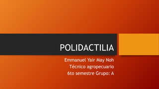 POLIDACTILIA
Emmanuel Yair May Noh
Técnico agropecuario
6to semestre Grupo: A
 