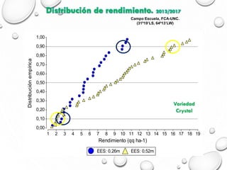 EES: 0,26m EES: 0,52m
1 2 3 4 5 6 7 8 9 10 11 12 13 14 15 16 17 18 19
Rendimiento (qq ha-1)
0,00
0,10
0,20
0,30
0,40
0,50
0,60
0,70
0,80
0,90
1,00
Distribuciónempírica
EES: 0,26m EES: 0,52m
Variedad
Crystal
Campo Escuela, FCA-UNC.
(31º19’LS, 64º13’LW)
Distribución de rendimiento. 2013/2017
 