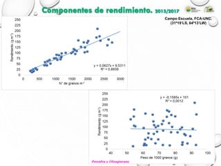 Campo Escuela, FCA-UNC.
(31º19’LS, 64º13’LW)
Componentes de rendimiento. 2013/2017
Cereales y Oleaginosas
 