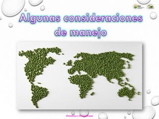 Cereales y Oleaginosas
 