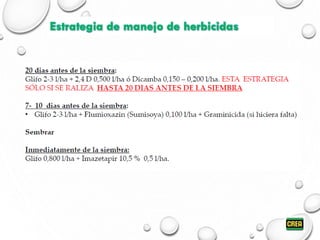Estrategia de manejo de herbicidas
 