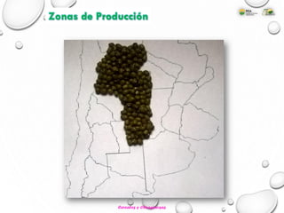 Zonas de Producción
Cereales y Oleaginosas
 