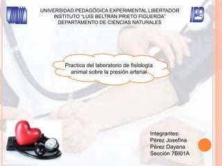 UNIVERSIDAD PEDAGÓGICA EXPERIMENTAL LIBERTADOR
INSTITUTO “LUIS BELTRÁN PRIETO FIGUEROA”
DEPARTAMENTO DE CIENCIAS NATURALES
Practica del laboratorio de fisiología
animal sobre la presión arterial
Integrantes:
Pérez Josefina
Pérez Dayana
Sección 7BI01A
 